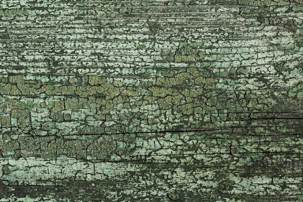 Camouflaging Elegantly: The Art of Dressing Like the Scenery