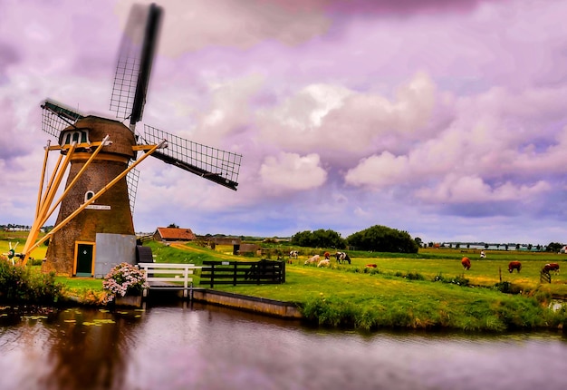 Styling Tips for Sunny Days in the Netherlands